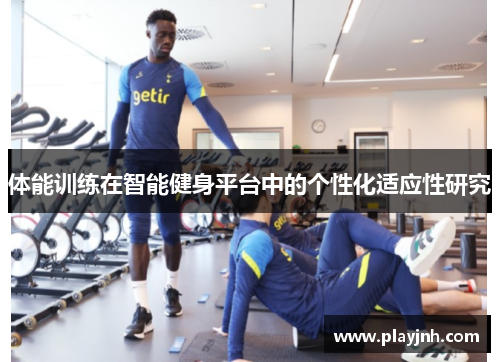 体能训练在智能健身平台中的个性化适应性研究